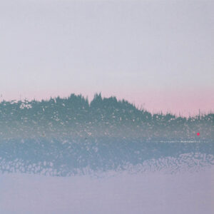 Nicholas Jones This Fading Light - Winter