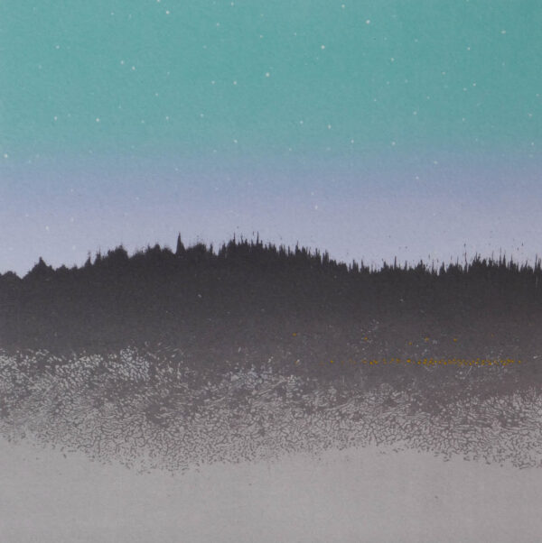 Nicholas Jones Veils of Light