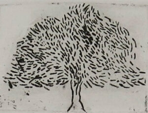 Sally McLaren Tree ll