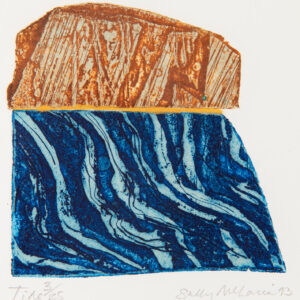 Sally McLaren 45. Tide