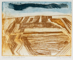 Sally McLaren 15. Stubble Fields