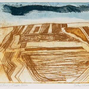 Sally McLaren 15. Stubble Fields