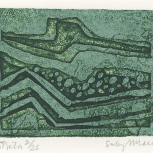 Sally McLaren Strata