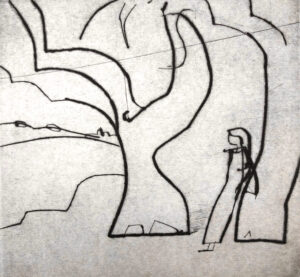 Julian Bailey The Copse