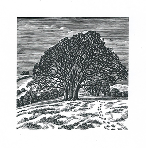 downs-in-winter-howard-phipps-wood-engraving-4-x-4inches-c2a3215-framed (1)-resized