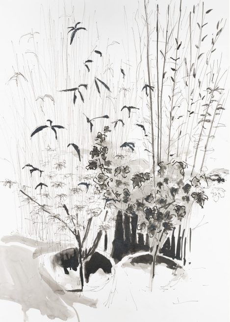MB- Garden Drawing 6 ink and wash on paper 2021. 59 x 42cm